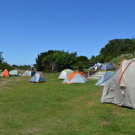 Dunedin Holiday Park Extérieur photo
