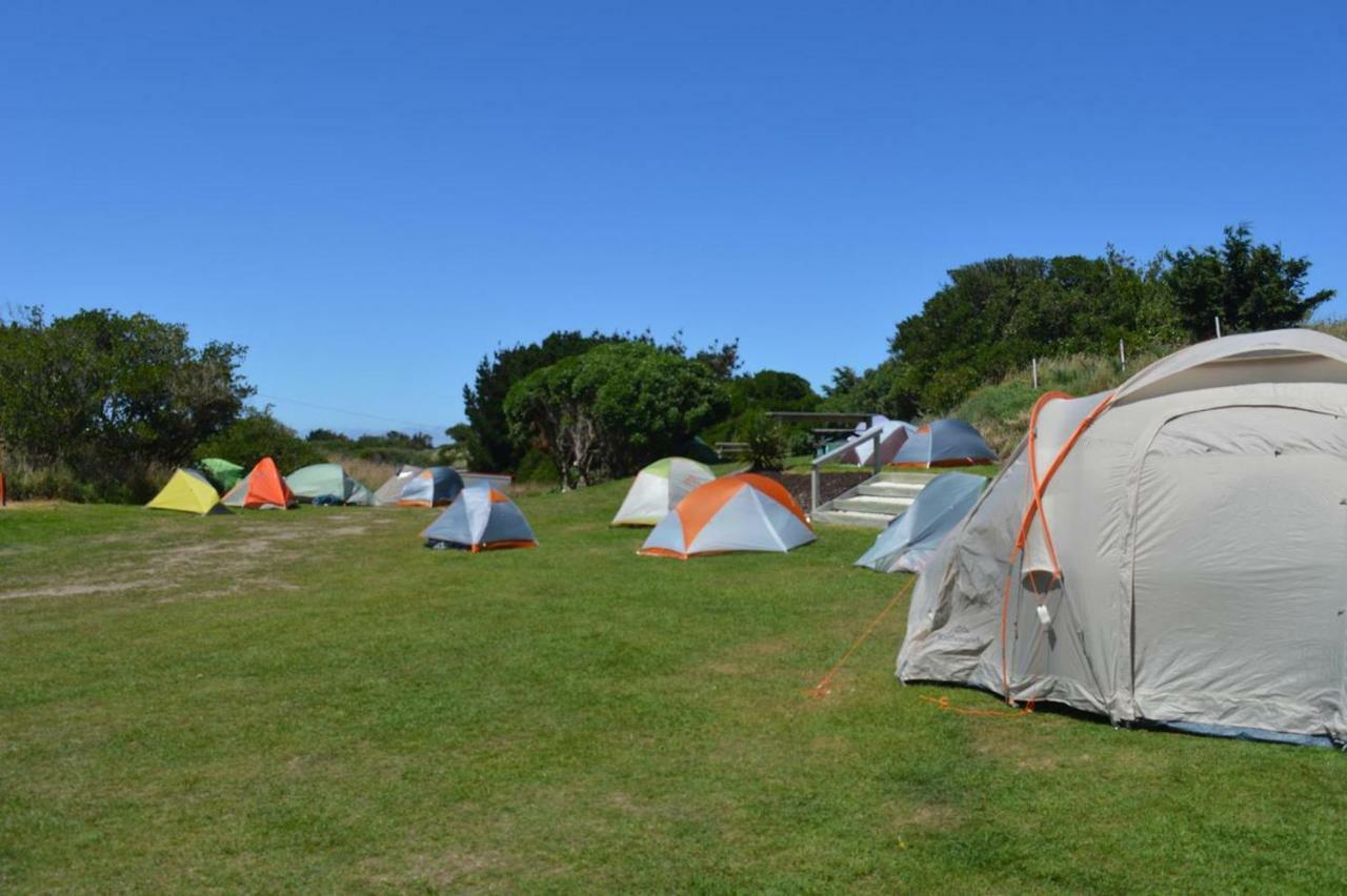 Dunedin Holiday Park Extérieur photo